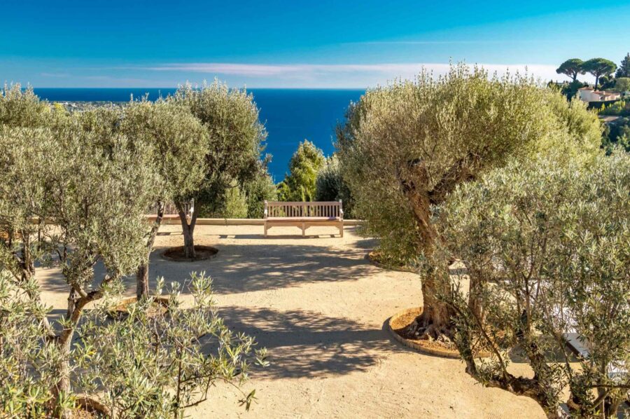 villa-cadenza-garden-olivetree-nature-frenchriviera-cannes