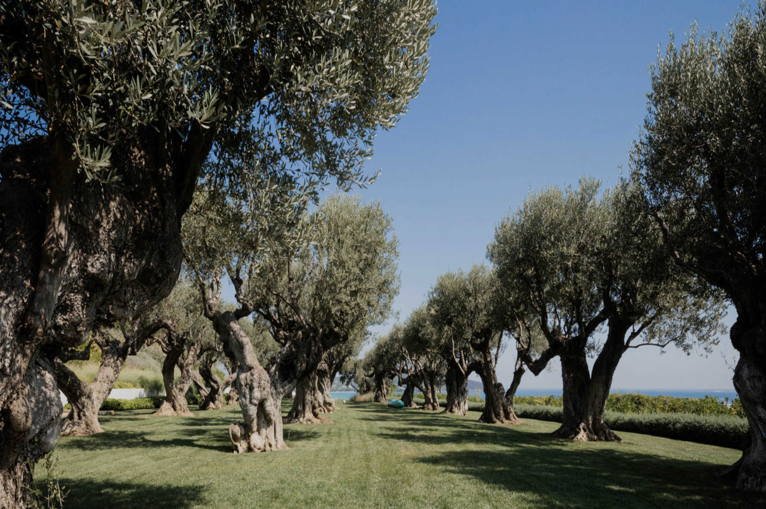 villa-caroline-garden-treelined-seaview-luxury-paradise-retreat-sttropez