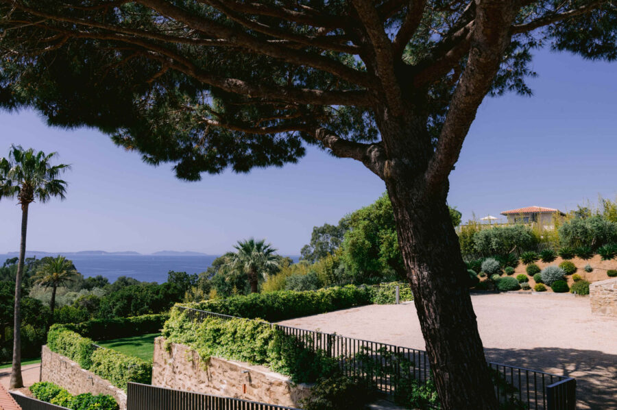 villa-coralie-garden-seaview-palmtree-nature-frenchriviera-lacroixvalmer