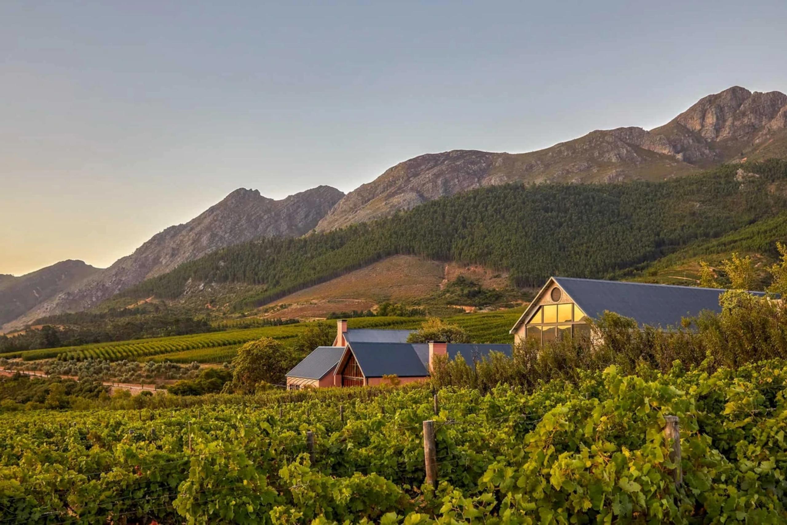 villa-frankie-exterior-vineyards-valley-nature-exclusive-rental-luxury-retreat-southafrica