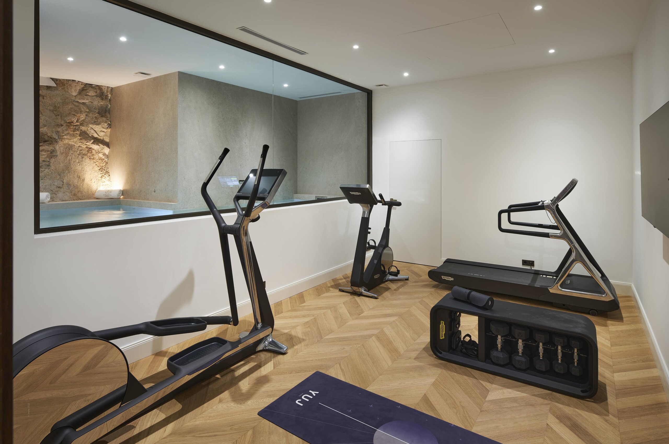 villa-violet-gym-pool-highend-luxury-modern-villefranche