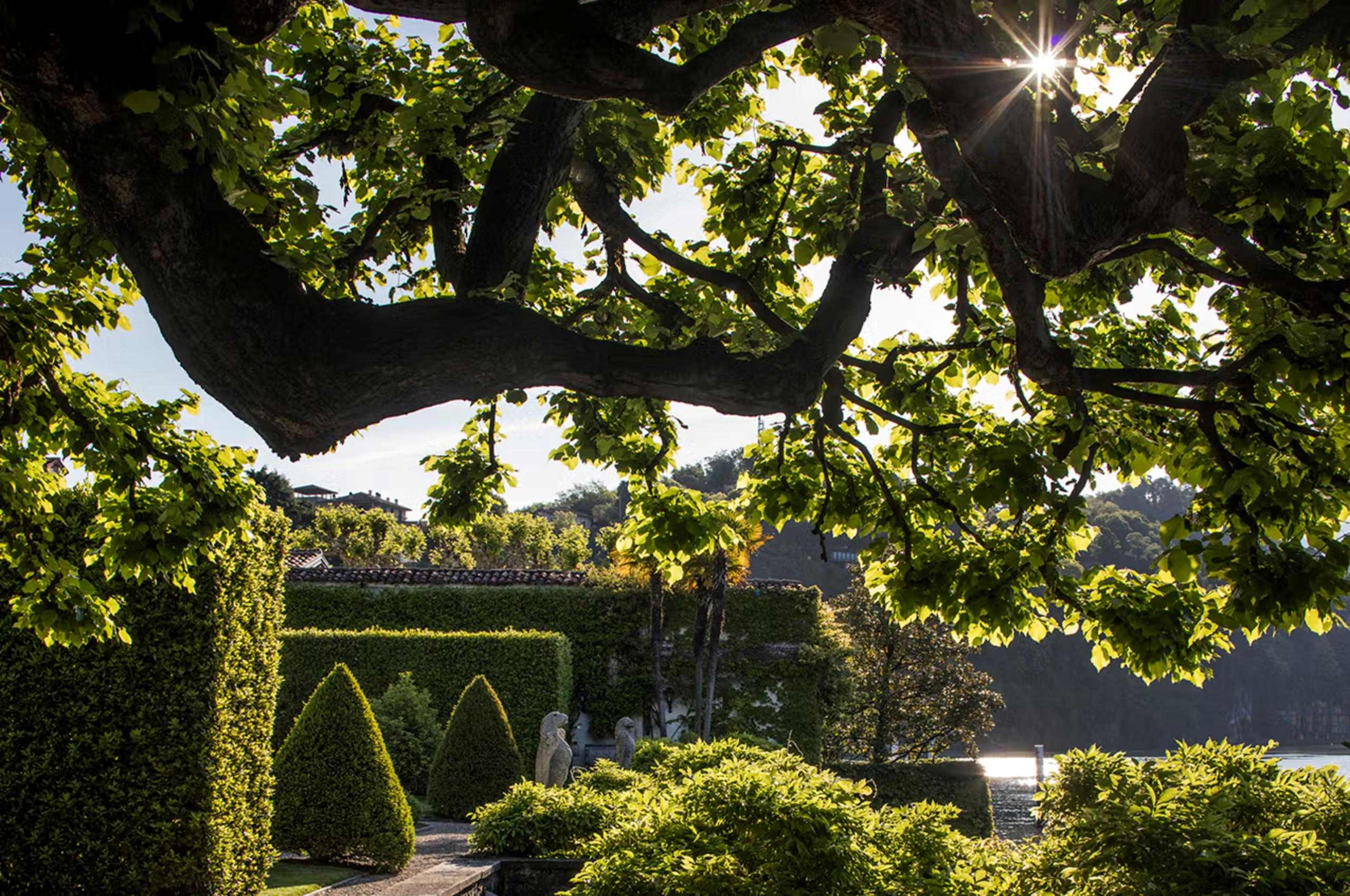 villa-allegra-garden-vibrant-grounds-lake-views-serene-luxury-lakecomo