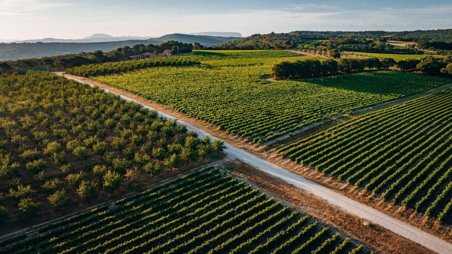 villa-belle-vineyard-countryside-fields-luxury-rental-retreat-provence