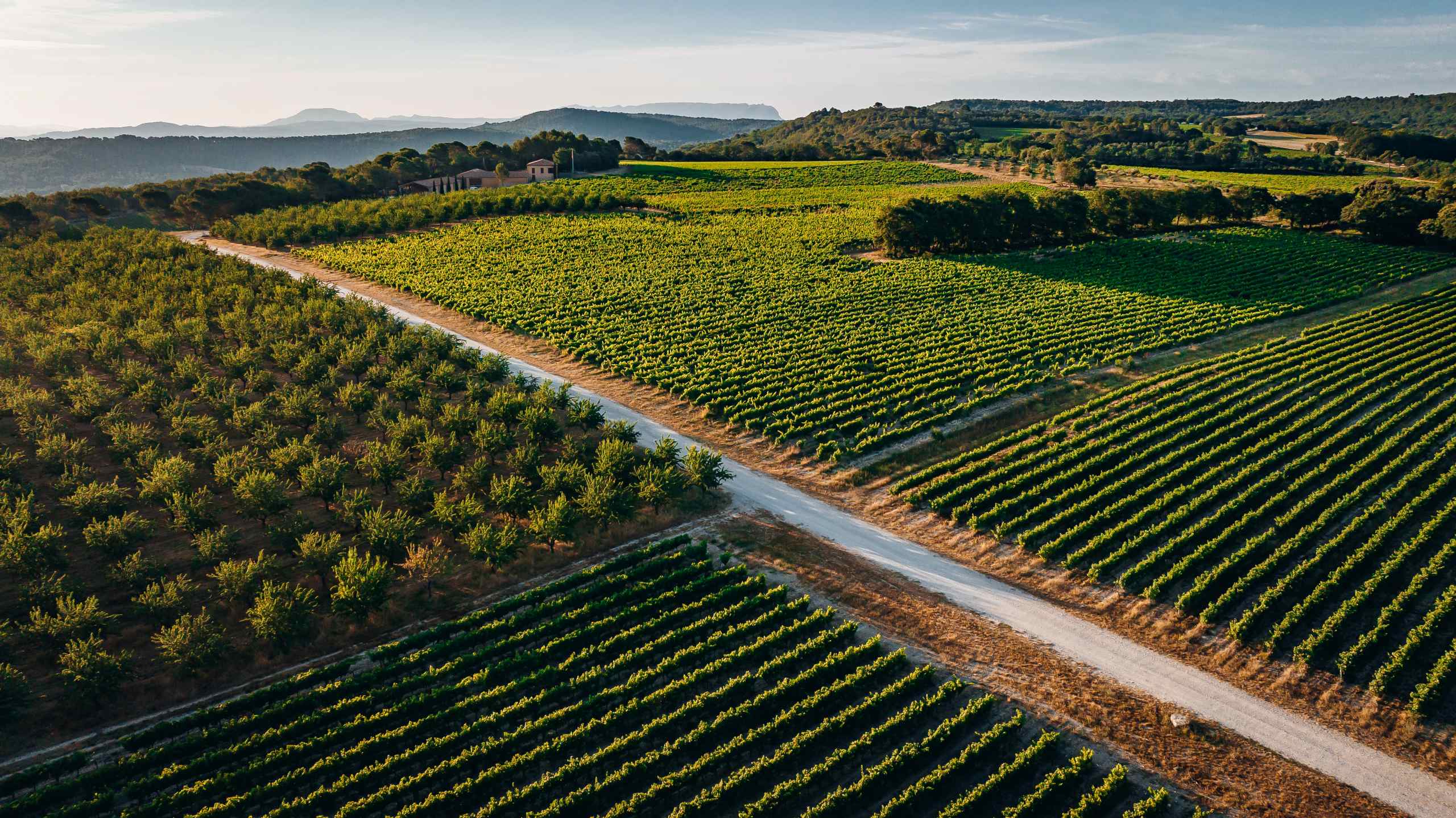 villa-belle-vineyard-countryside-fields-luxury-rental-retreat-provence