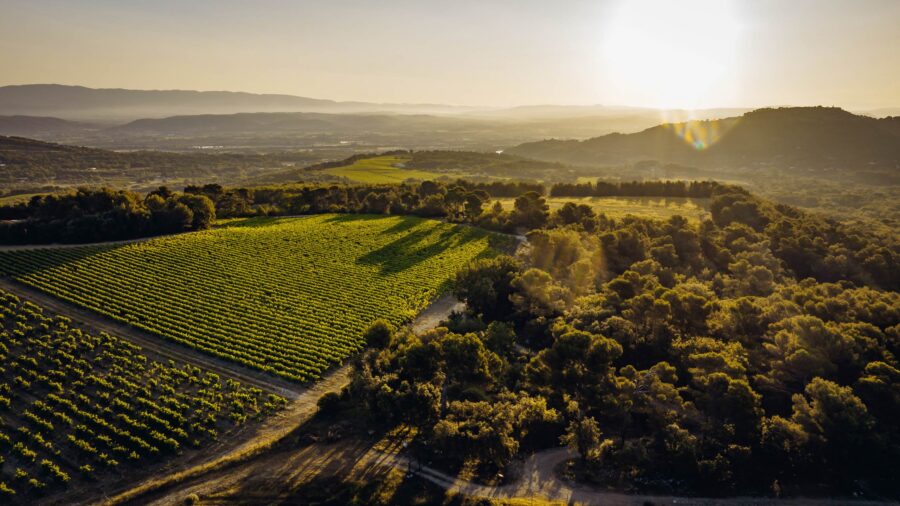 villa-belle-vineyards-countryside-luxury-rental-retreat-provence