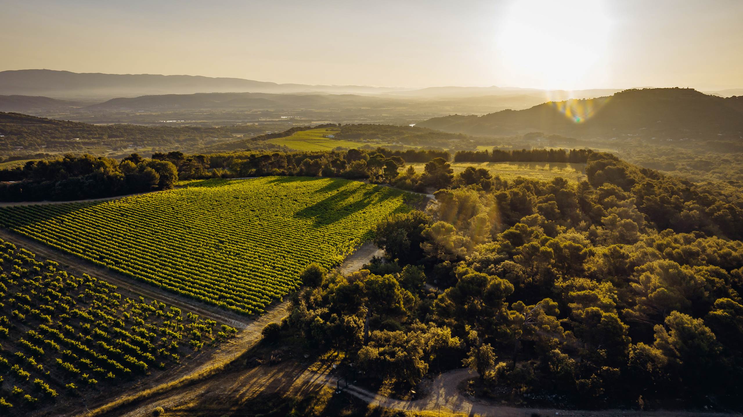 villa-belle-vineyards-countryside-luxury-rental-retreat-provence