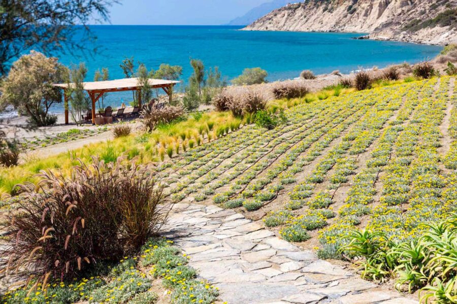 villa-nadia-garden-path-beach-access-sea-views-luxury-crete
