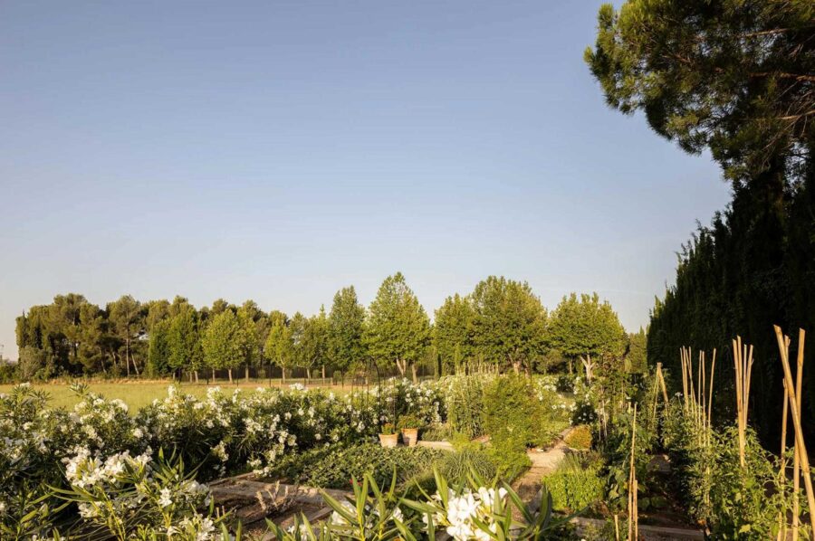 villa-suzanne-garden-natural-wildlife-landscaped-grounds-luxury-rental-retreat-provence