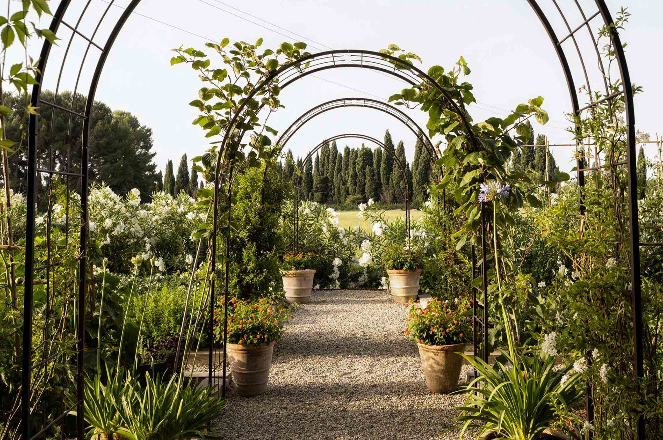villa-suzanne-garden-wildlife-peaceful-natural-sanctuary-luxury-provence